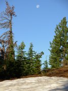 Summer '06 Sunriver II 015 